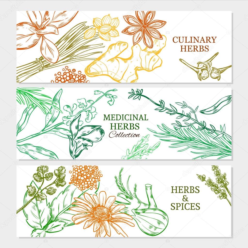 Natural Healthy Plants Horizontal Banners