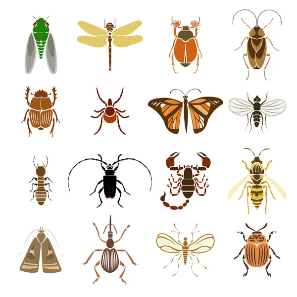 Sammlung bunter Insektensymbole — Stockvektor