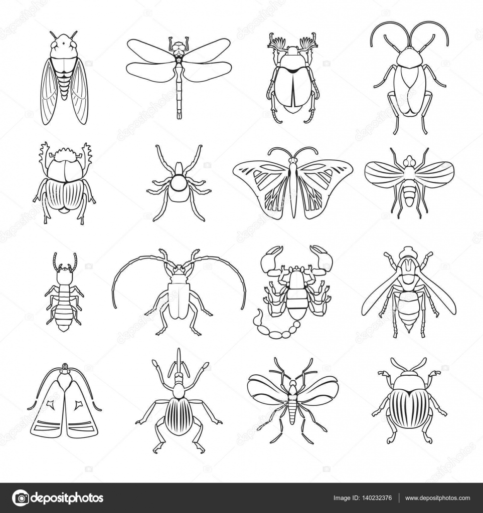 Outline Insects Icons Set Stock Vector by ©Mogil 140232376
