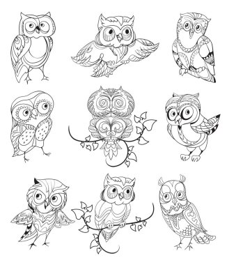 Sevimli baykuşlar koleksiyonu anahat