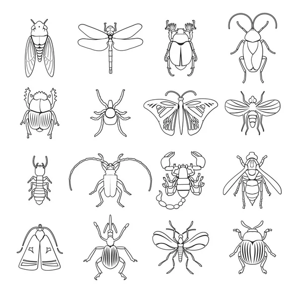 Esquema Conjunto de iconos de insectos — Vector de stock