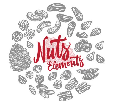 Kroki fındık öğeleri yuvarlak kompozisyon