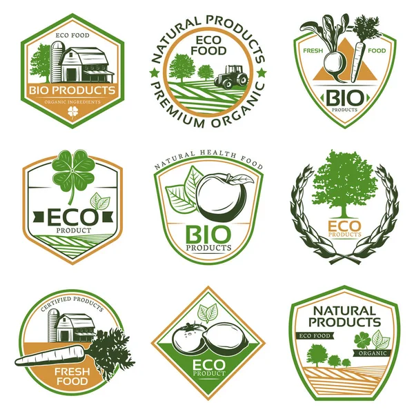 Coleção Eco Emblemas Orgânicos Coloridos —  Vetores de Stock