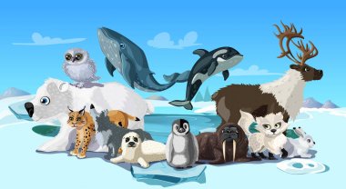 Kutup hayvanları karikatür şablonu