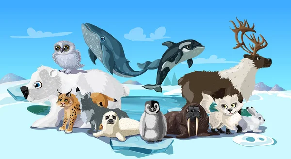 Arktická zvířata kreslená šablona — Stockový vektor