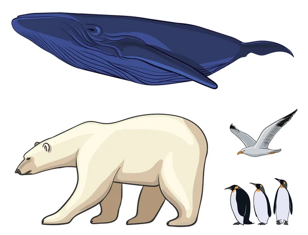 Colorido conjunto de animales árticos — Vector de stock