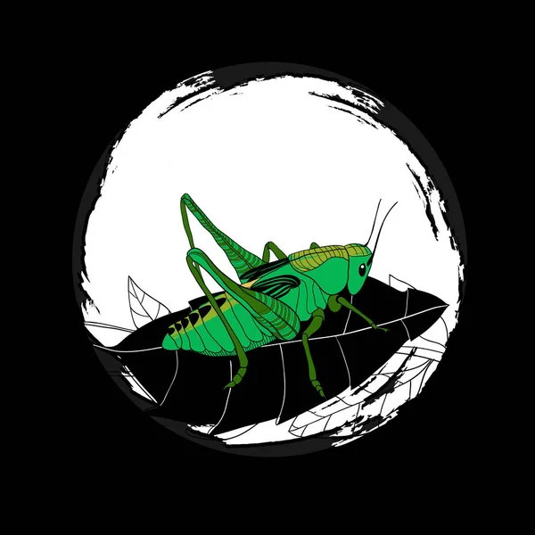 Ručně tažené divoké hmyzu KRUHOVÁ složení — Stockový vektor