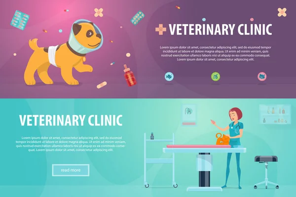 Hayvan hastalıklarıyla ilgili klinik yatay Banner — Stok Vektör