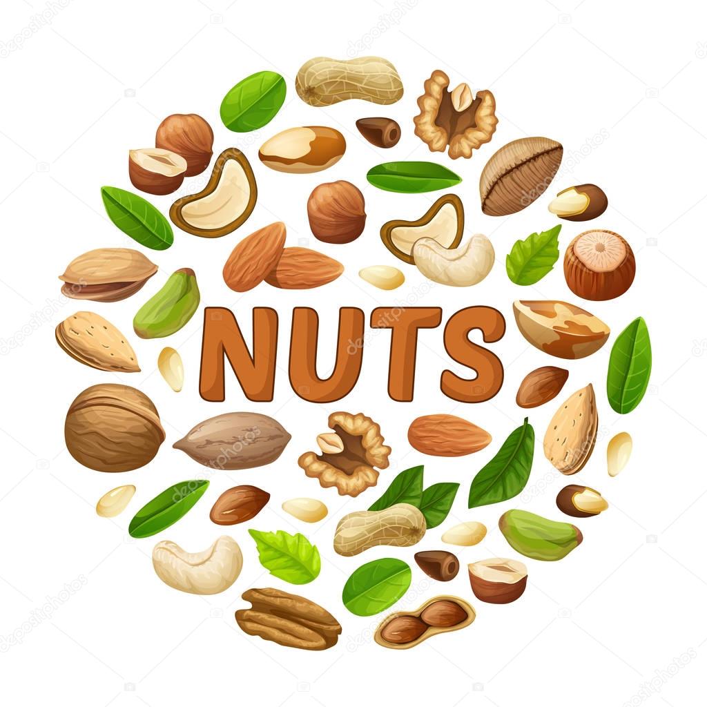 Cartoon Nuts Round Concept