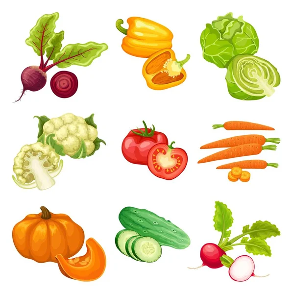 Cartoon biologische groenten Set — Stockvector