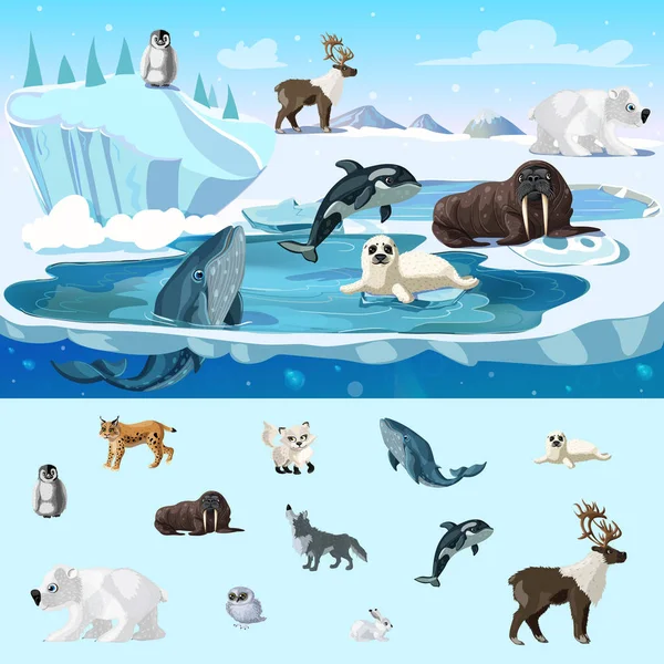 Colorful Arctic Wildlife Concept — Stock Vector