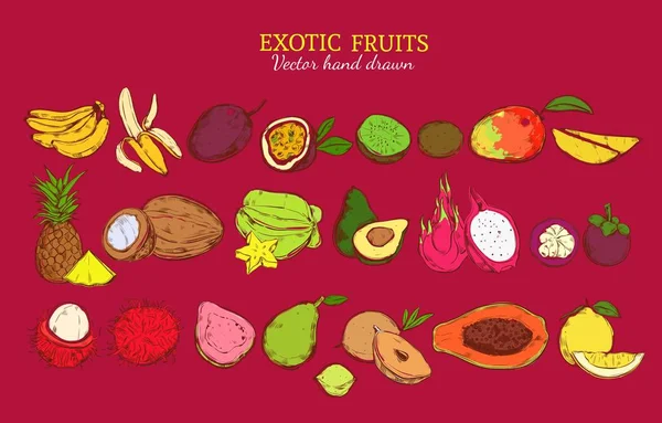 Gekleurde exotisch en tropisch fruit Set — Stockvector