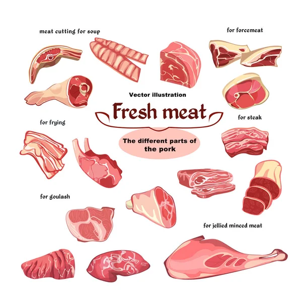 Conjunto de piezas de carne de cerdo de corte natural — Vector de stock