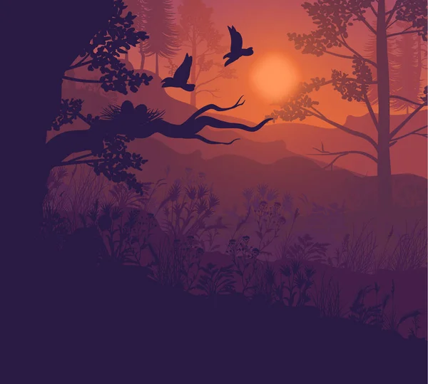 日の出の森の風景の背景 — ストックベクタ