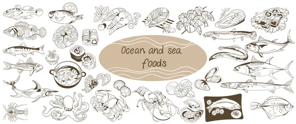 Doodle havet och havet mat Set — Stock vektor