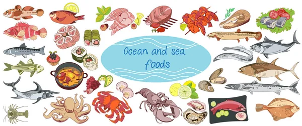 Desenho colorido Marine Food Collection — Vetor de Stock