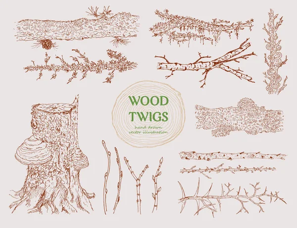 Ręcznie rysowane gałęzie drewna zestaw — Wektor stockowy