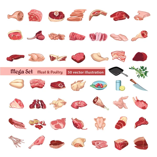 Färgade fjäderfä och kött element Set — Stock vektor