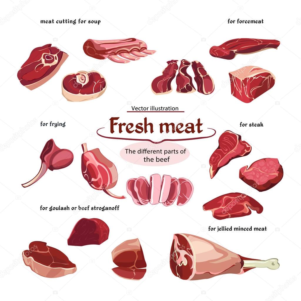 Sketch Cutting Beef Meat Parts Collection