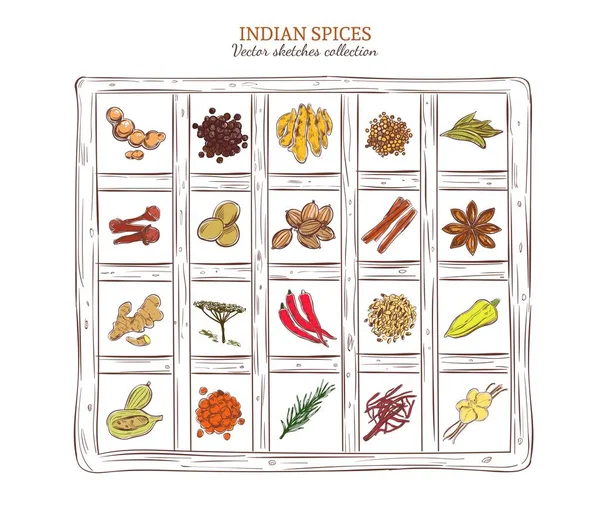 Färgad skiss indiska kryddor Set — Stock vektor