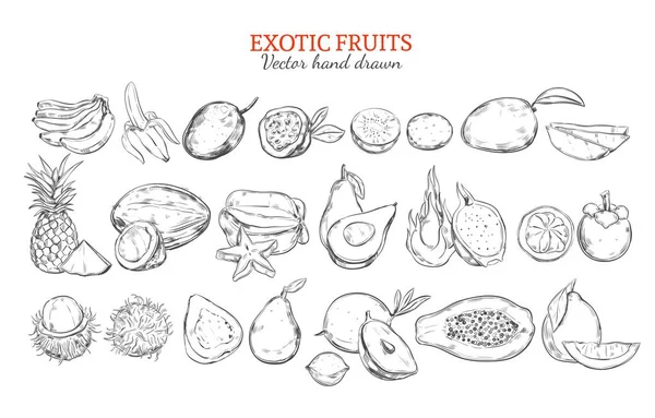 Колекція монохромний екзотичних і тропічних фруктів — стоковий вектор