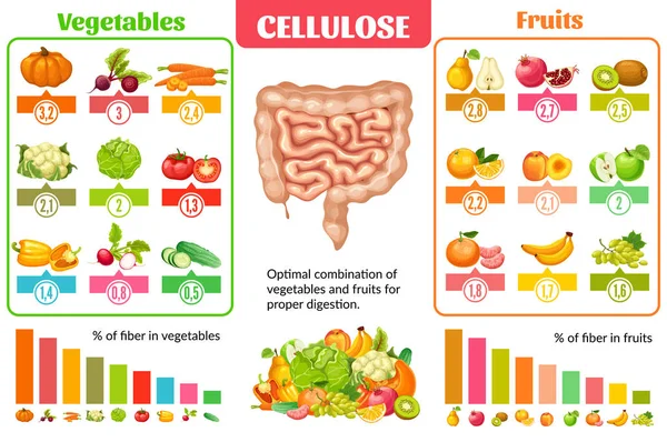 Concepto Infográfico de Nutrición Saludable de Dibujos Animados — Vector de stock