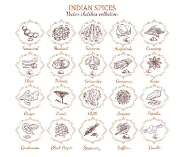 Organik baharat ve otlar koleksiyonu