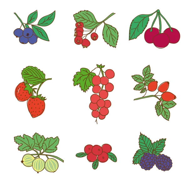 Set di alimenti naturali grafici colorati — Vettoriale Stock