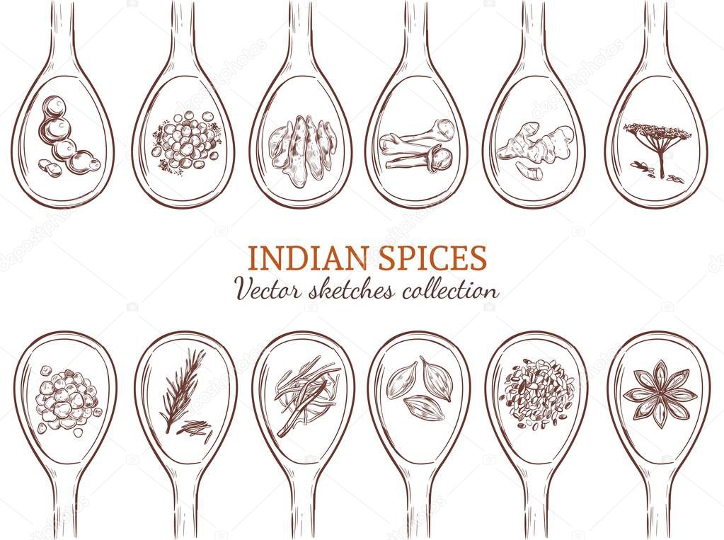 Sketch Organic Indian Spices Set