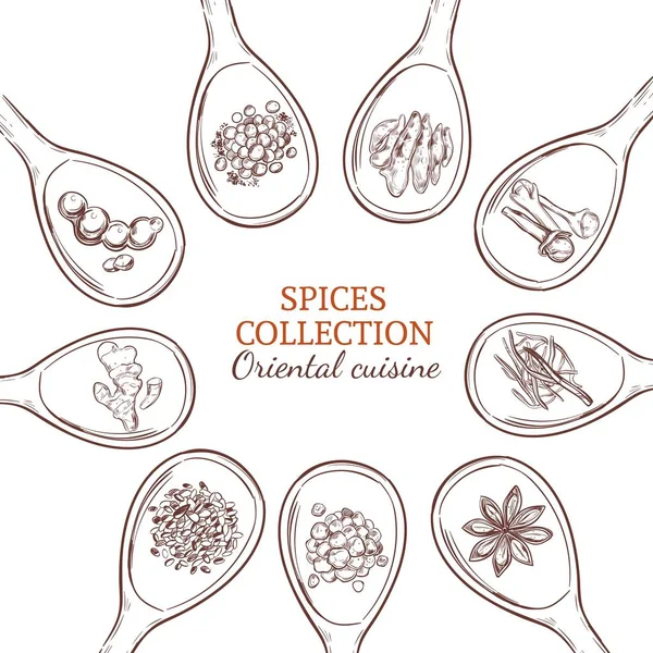 Концепция Sketch Spices and Herbs Round — стоковый вектор