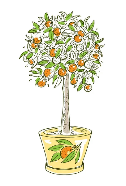 Dibujo colorido Concepto de fruta cítrica — Archivo Imágenes Vectoriales