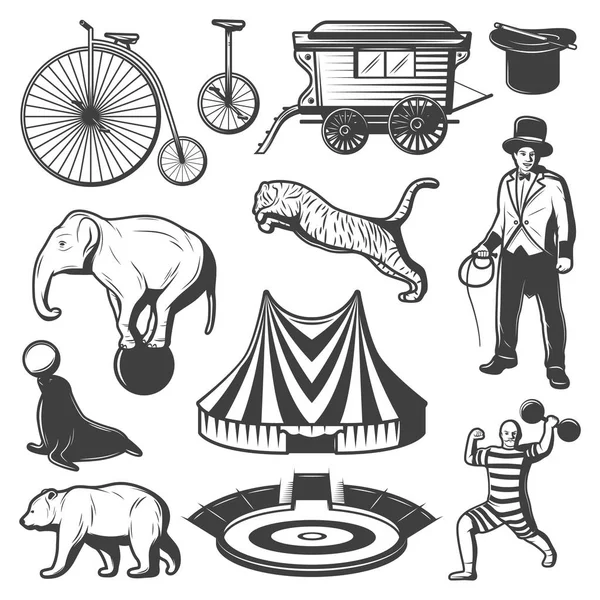 Vintage Circus Elements Collection — Stock Vector