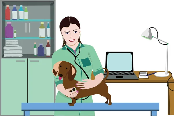 Concept de soins médicaux pour animaux — Image vectorielle