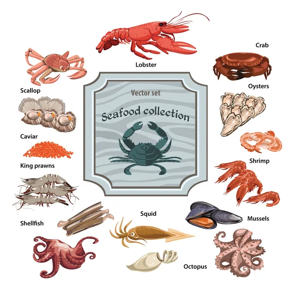 Conjunto de ícones coloridos de frutos do mar desenhados à mão —  Vetores de Stock