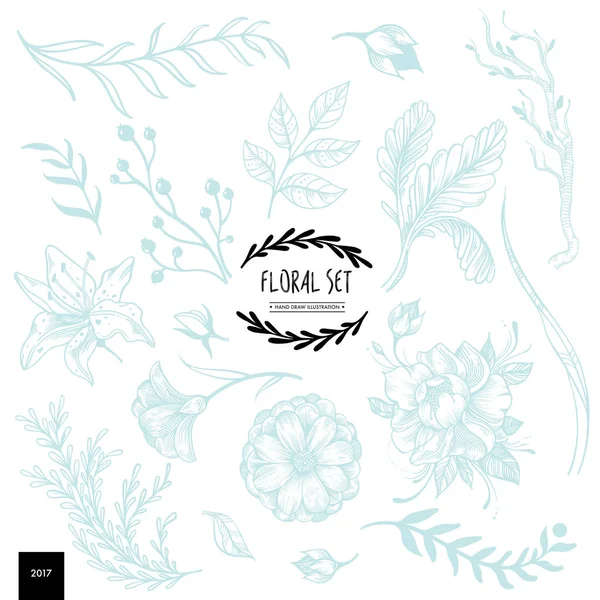 Colección floral dibujada a mano — Vector de stock