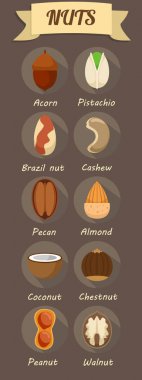 Düz sağlıklı organik gıda Icons Set