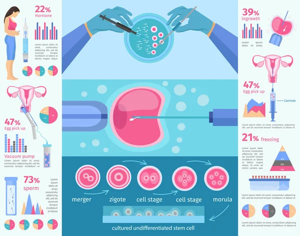 In vitro fertilizasyon düz Infographic şablonu — Stok Vektör