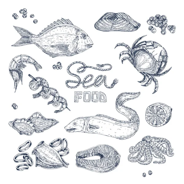 Seafood Monochrome Sketches Set - Stok Vektor