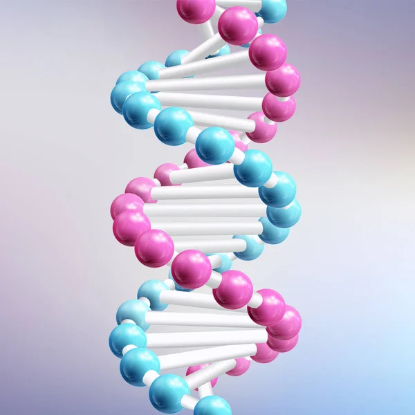Ilustrasi Realistik DNA - Stok Vektor
