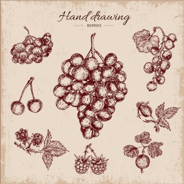 Çilek çizilmiş tasarım el