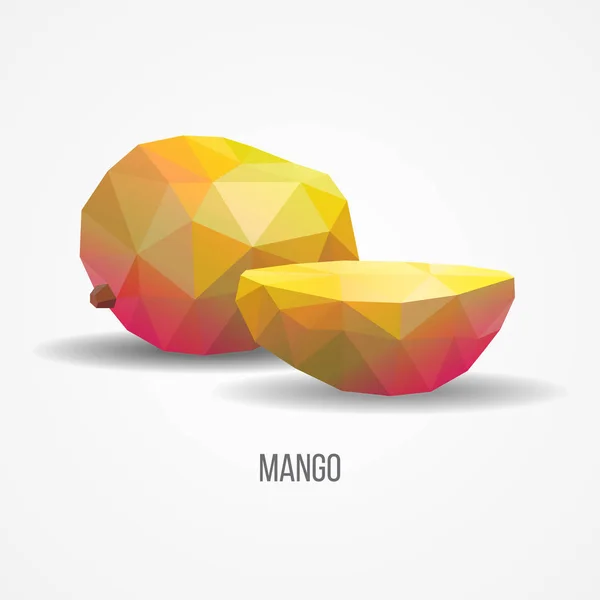 Světlé zdravé Mango ovoce Concept — Stockový vektor