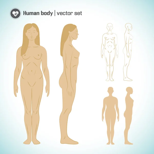 Set corpo femminile — Vettoriale Stock