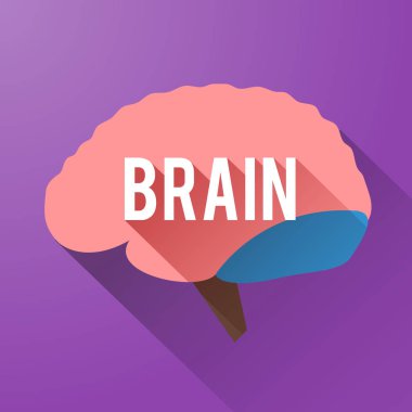 tıbbi bakım şablonu