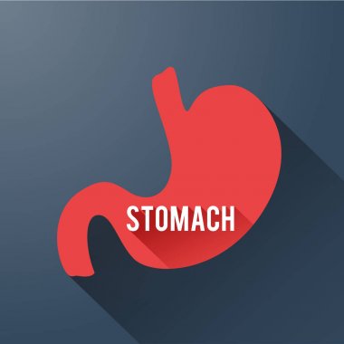 Tıbbi sindirim şablonu