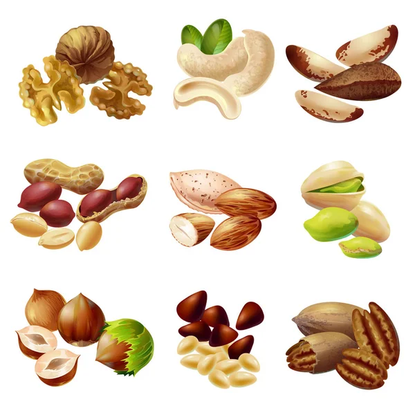 Cartoon Healthy Nuts Set — Stock Vector