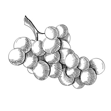 Taze meyve kavram oyma