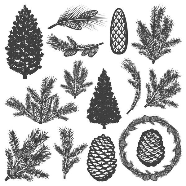 Набор элементов винтажного хвойного дерева
