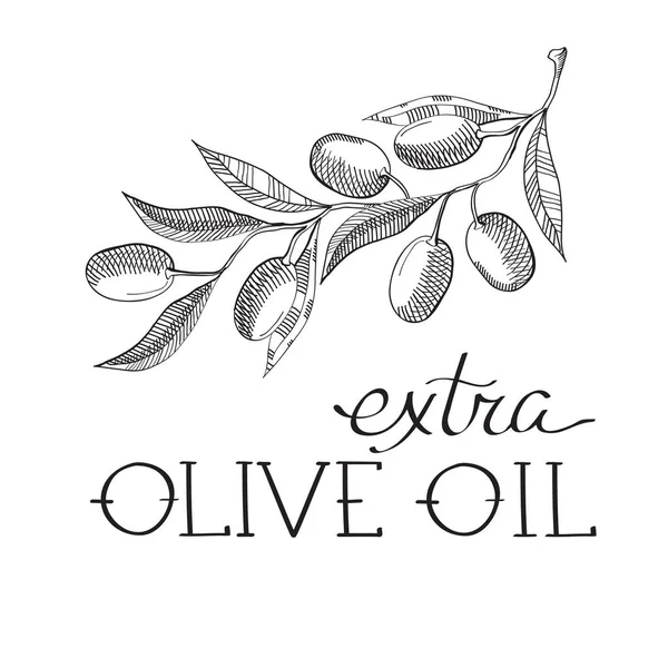 Stiel von Oliven dekorative Skizze — Stockvektor