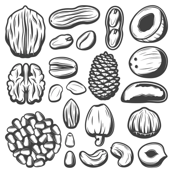 Винтажная коллекция органических орехов — стоковый вектор