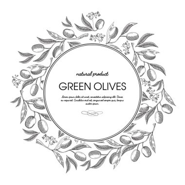 Çelenk kroki kompozisyon yuvarlak yeşil zeytin